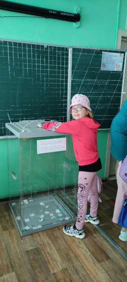 Выборы президента школьного лагеря.